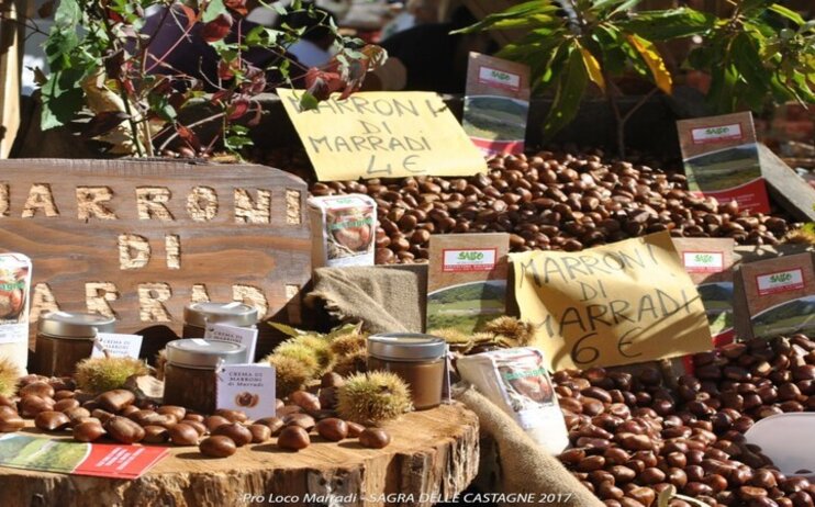 Marradi: la festa della castagna