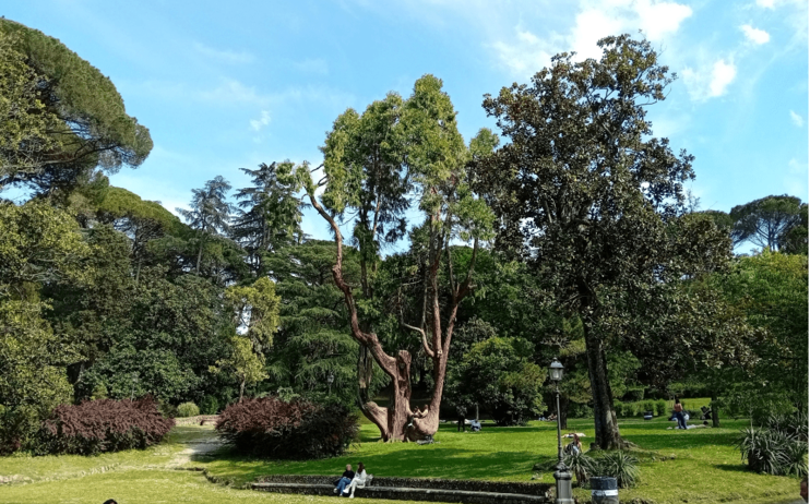 Passeggiate cittadine Maggio/Luglio 2024