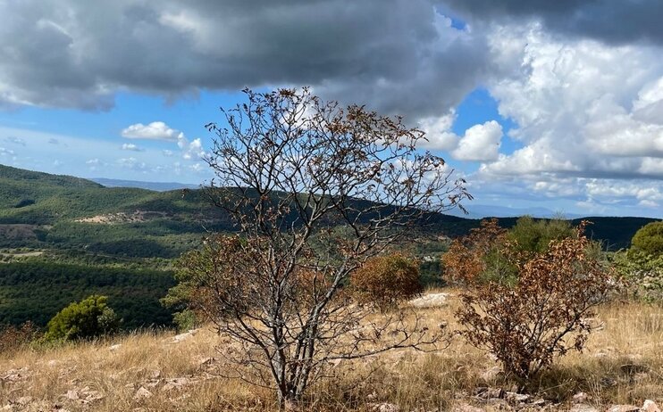 Monte Peglia seconda tappa