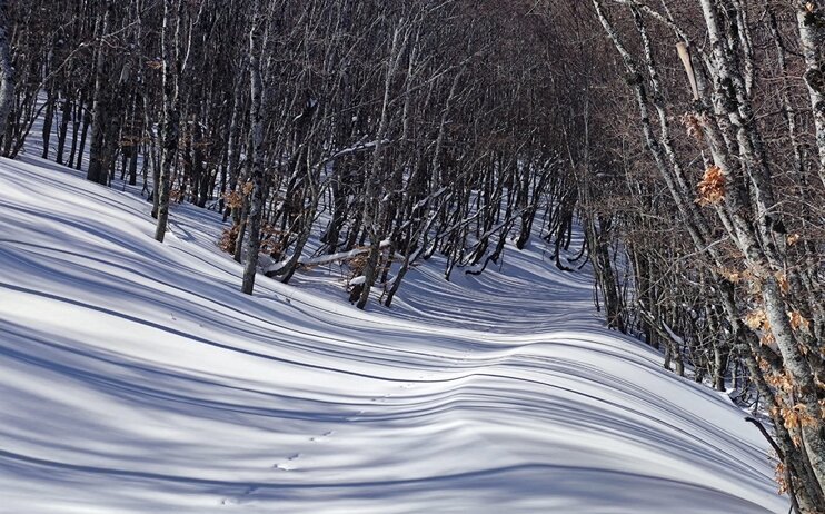 Escursione al Monte Cucco