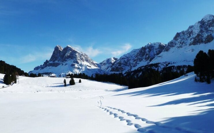 Alle malghe di Eores - sabato 18 febbraio 2023