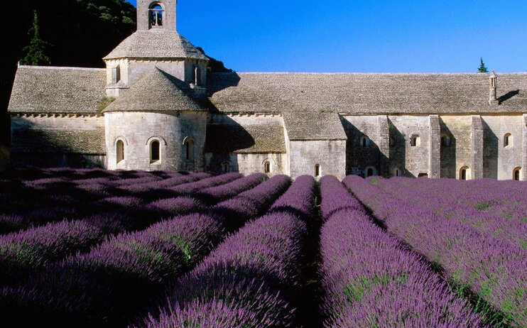 Tour della Provenza e la fioritura della lavanda dall'1 al 6 luglio 2023